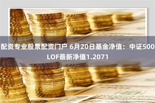 配资专业股票配资门户 6月20日基金净值：中证500LOF最新净值1.2071