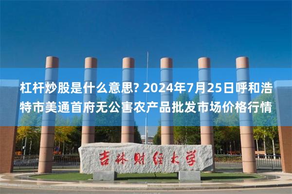 杠杆炒股是什么意思? 2024年7月25日呼和浩特市美通首府无公害农产品批发市场价格行情