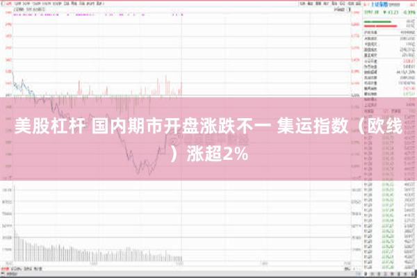 美股杠杆 国内期市开盘涨跌不一 集运指数（欧线）涨超2%
