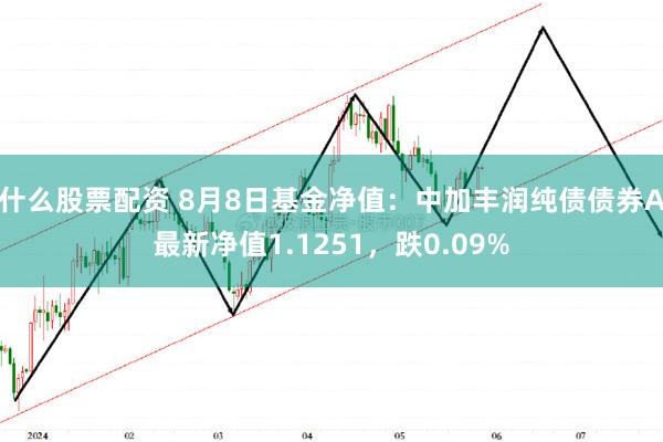 什么股票配资 8月8日基金净值：中加丰润纯债债券A最新净值1.1251，跌0.09%