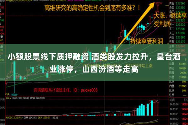 小额股票线下质押融资 酒类股发力拉升，皇台酒业涨停，山西汾酒等走高