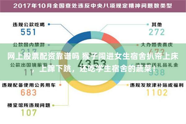 网上股票配资靠谱吗 猴子闯进女生宿舍扒帘上床，上蹿下跳，还吃学生宿舍的蔬菜！