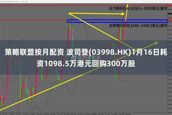 策略联盟按月配资 波司登(03998.HK)1月16日耗资1098.5万港元回购300万股