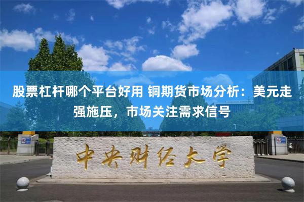 股票杠杆哪个平台好用 铜期货市场分析：美元走强施压，市场关注需求信号